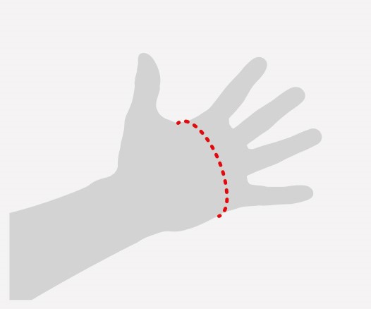 Illustration showing how to measure the hand for gloves